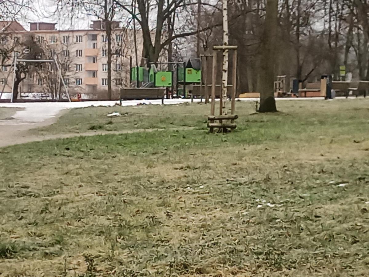 Na Cervene Louce Apartman Cheb Apartment Luaran gambar