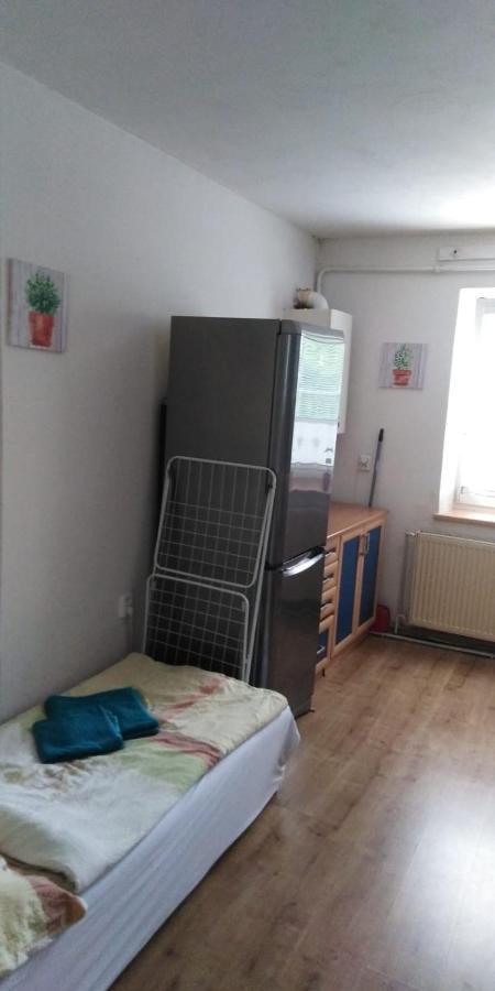 Na Cervene Louce Apartman Cheb Apartment Luaran gambar