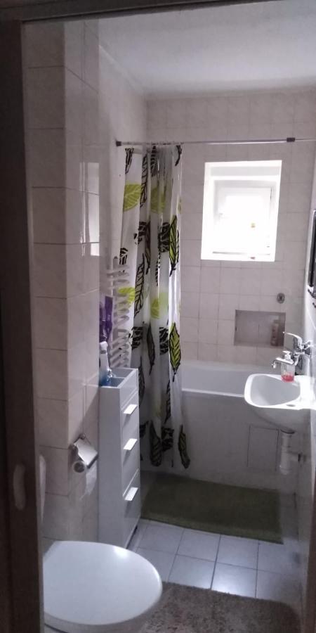 Na Cervene Louce Apartman Cheb Apartment Luaran gambar